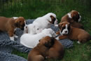 The whole gang, first time out