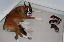 Proud Mama Roxy.